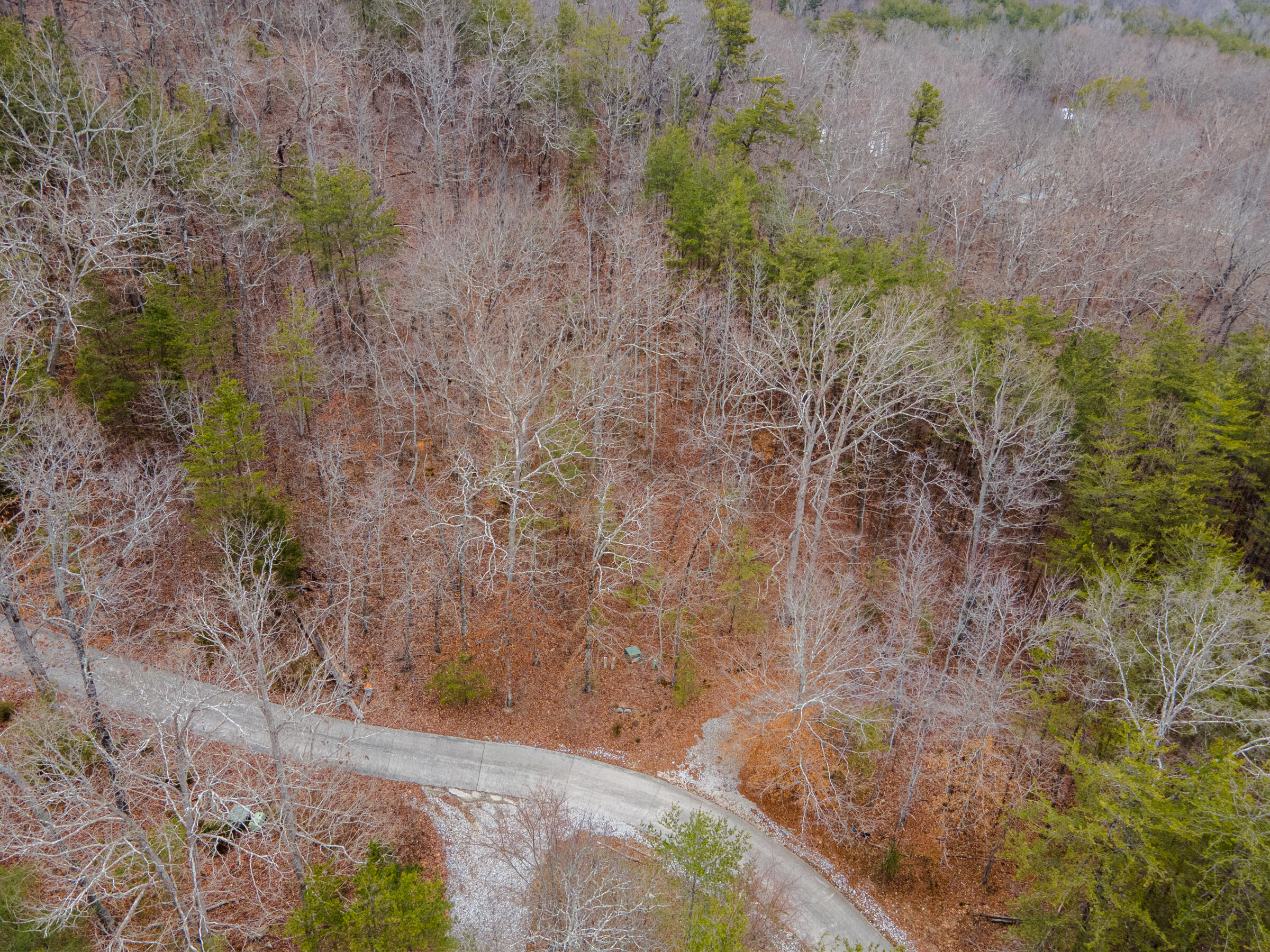0 Valley Rim Drive, Unit 45 Chickamauga, GA 30707 - Photo 4 of 60 CloudlandStationLot-8