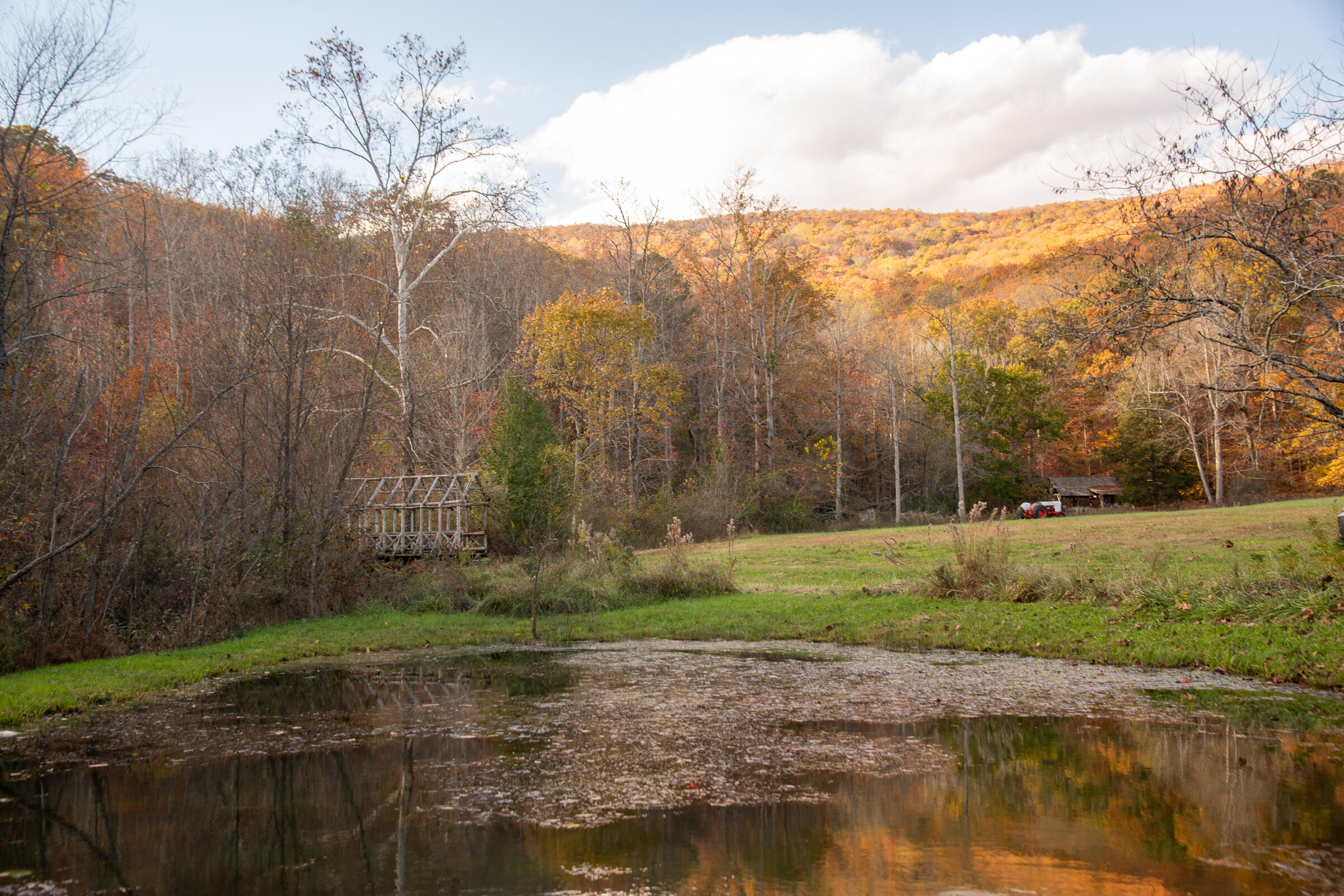 0 Valley Rim Drive, Unit 45 Chickamauga, GA 30707 - Photo 50 of 60 Cloudland-64