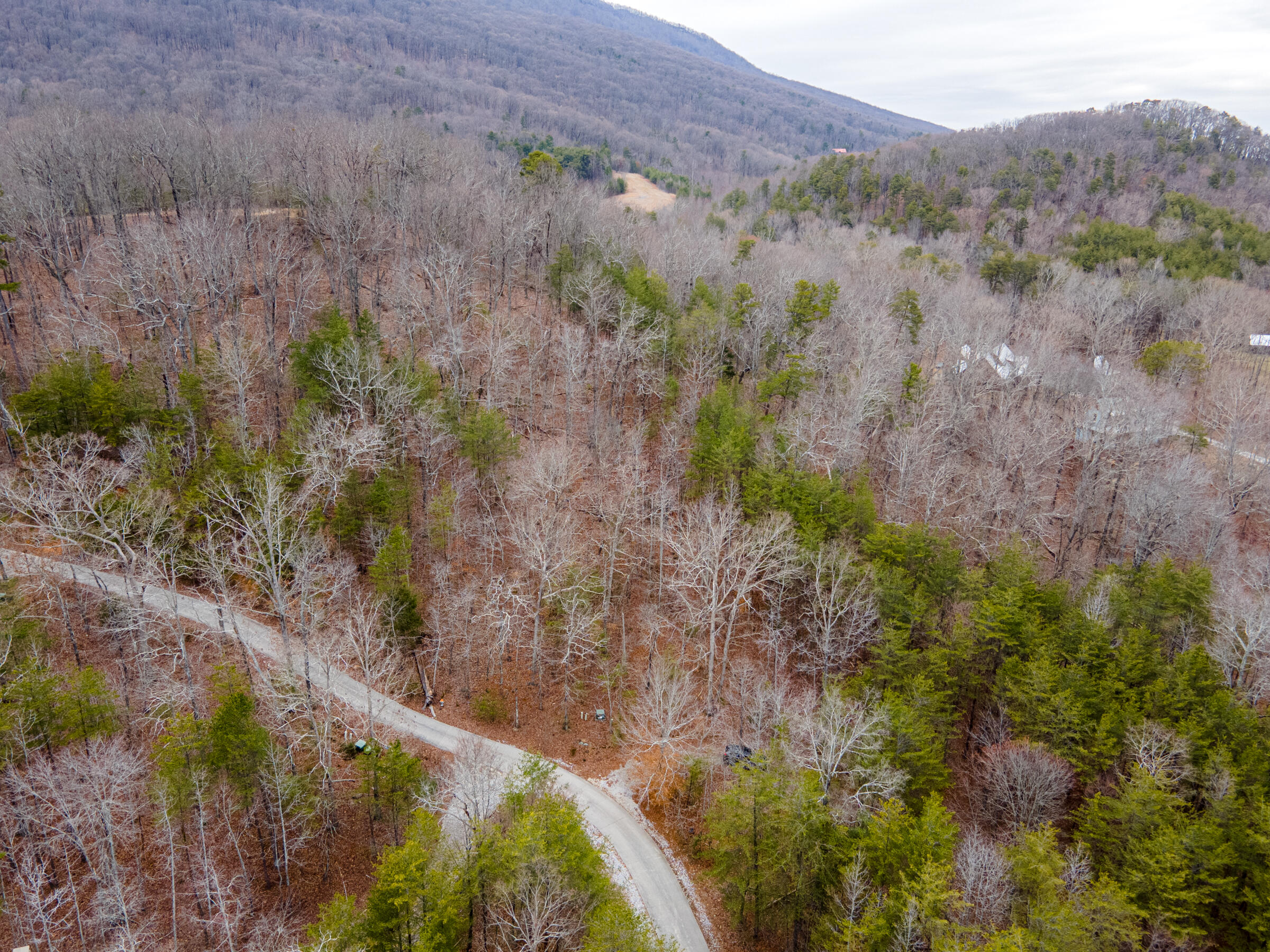 0 Valley Rim Drive, Unit 45 Chickamauga, GA 30707 - Photo 5 of 60 CloudlandStationLot-9
