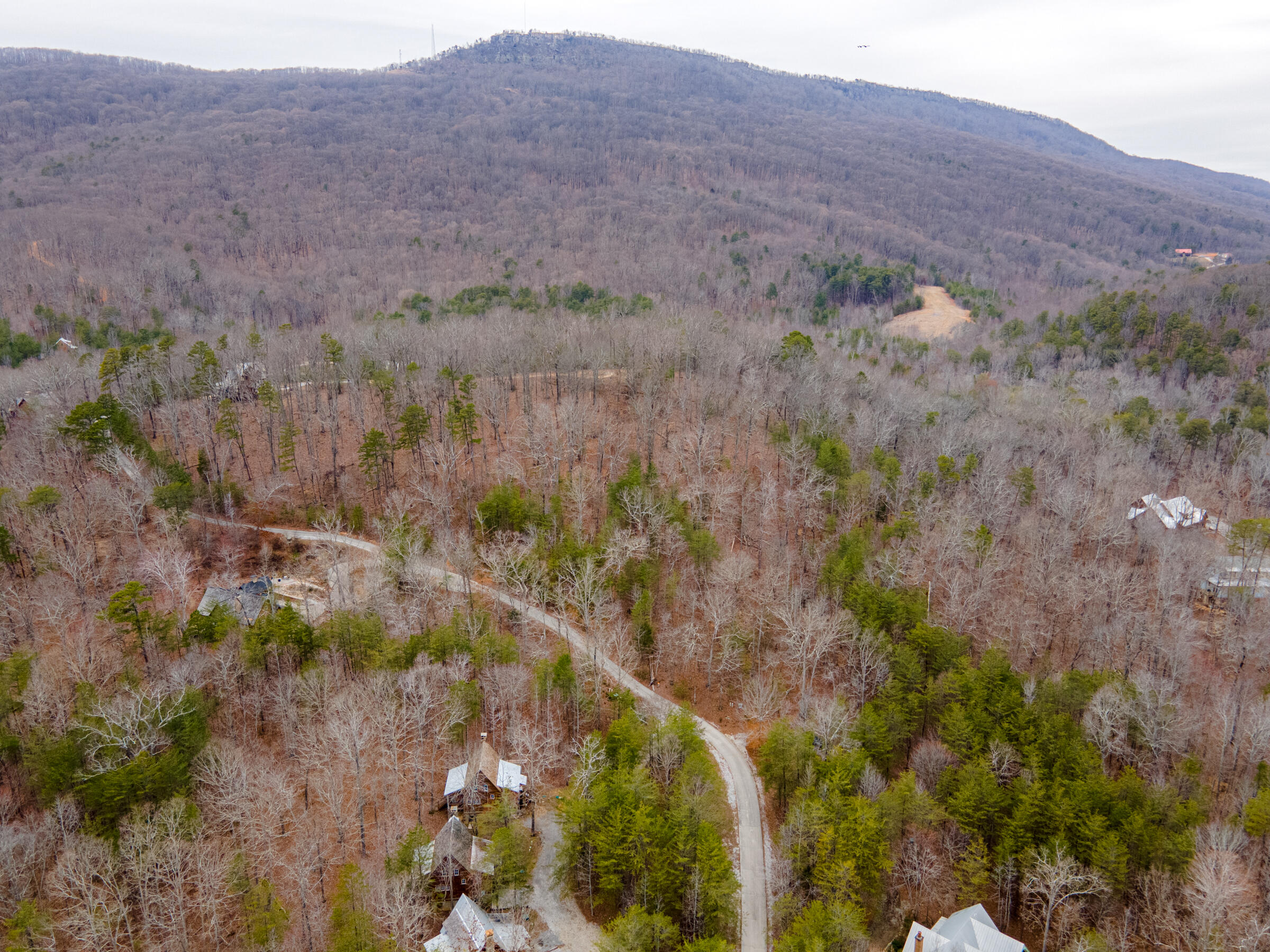 0 Valley Rim Drive, Unit 45 Chickamauga, GA 30707 - Photo 6 of 60 CloudlandStationLot-10