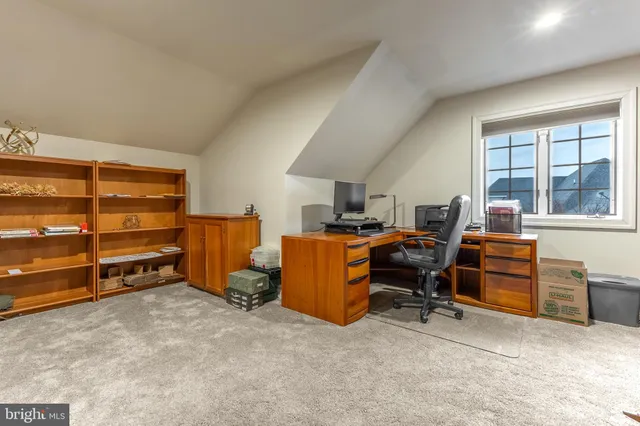 a view of a lush green forest