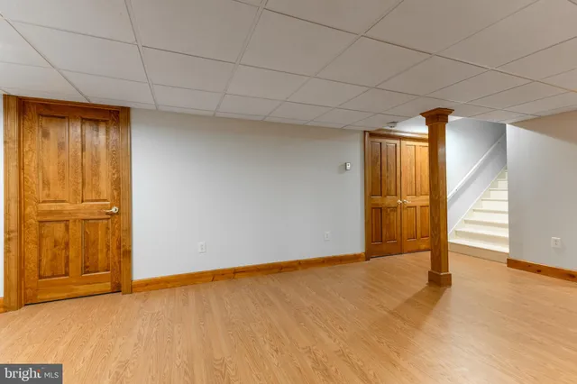 a view of a forest with a tree