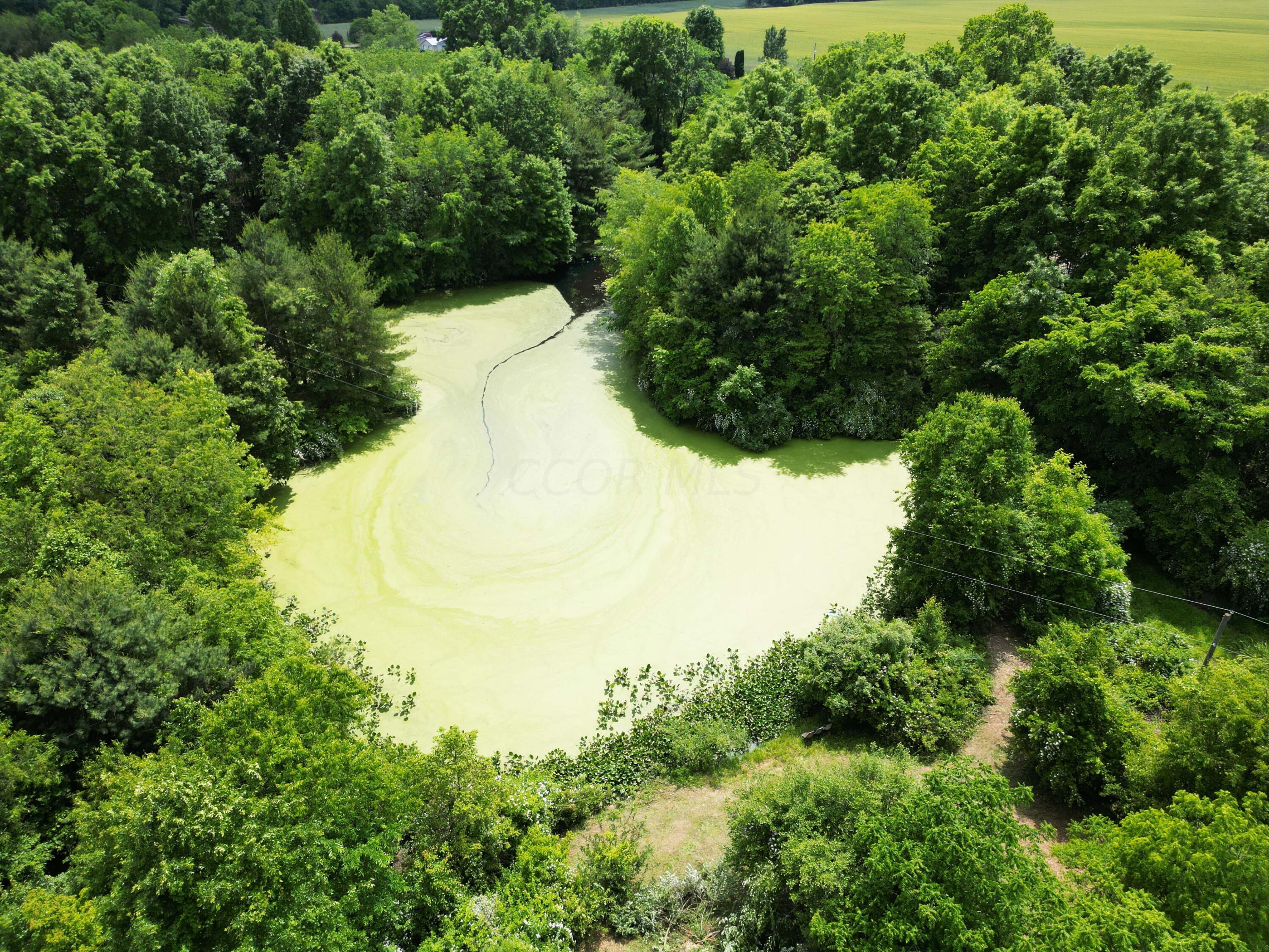 0 Schoolhouse Road Frazeysburg, OH 43822 - Photo 24 of 31 DJI_0587