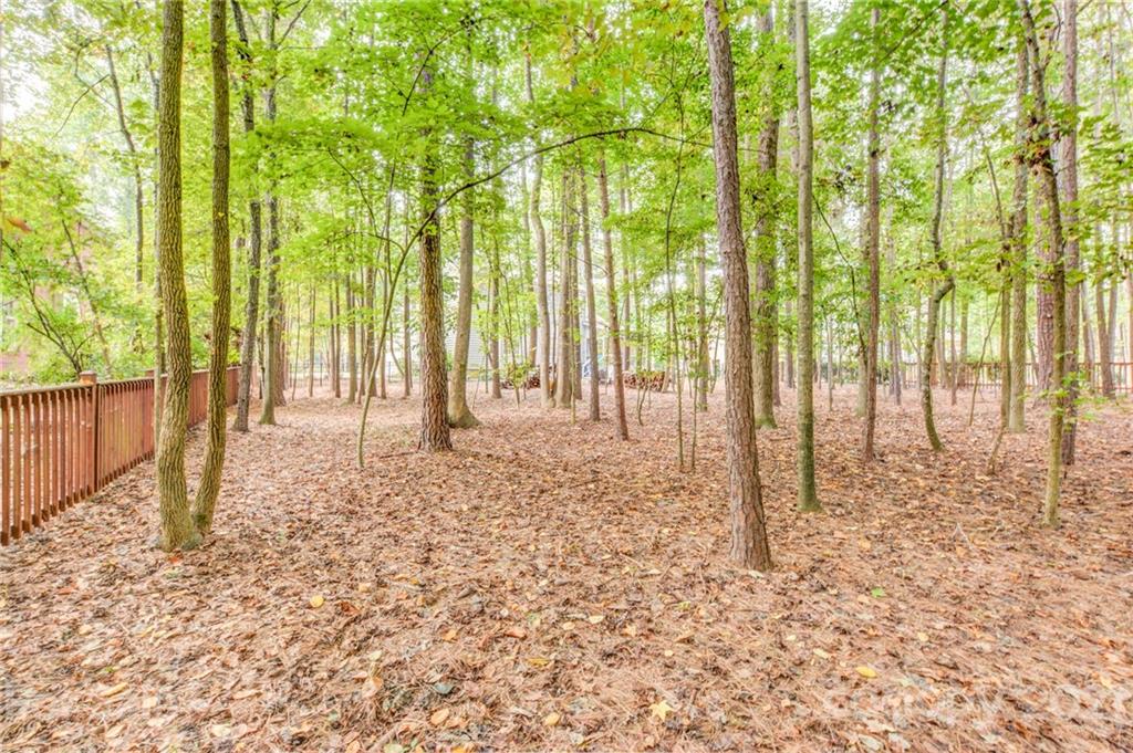 1712 Mineral Springs Road Clover, SC 29710 - Photo 7 of 44 Gallery Image 7