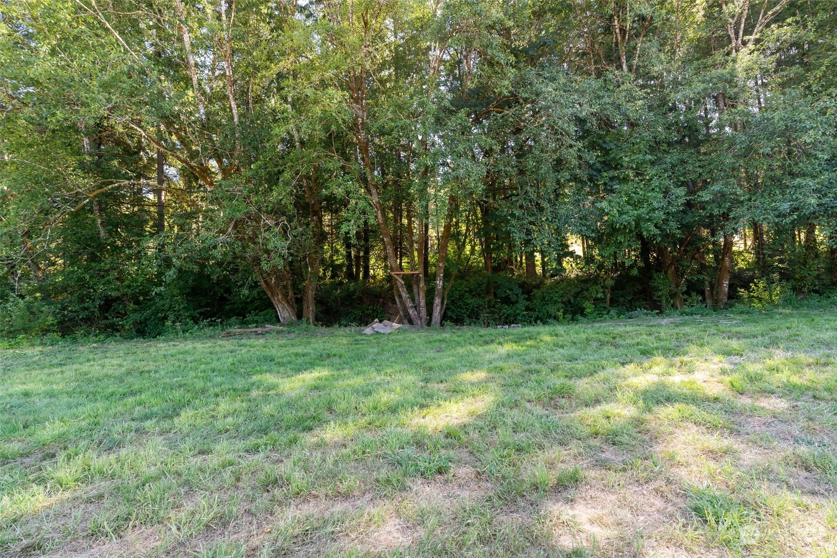 187 Ramsaur Road Centralia, WA 98531 - Photo 19 of 37 Gallery Image 19