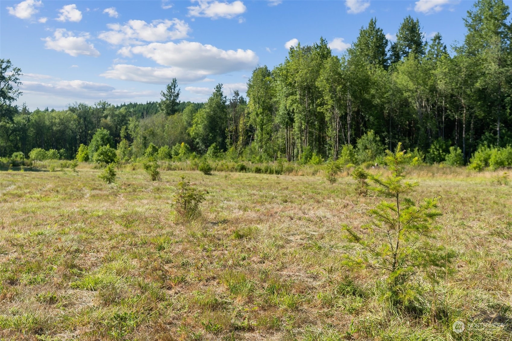 187 Ramsaur Road Centralia, WA 98531 - Photo 23 of 37 Gallery Image 23
