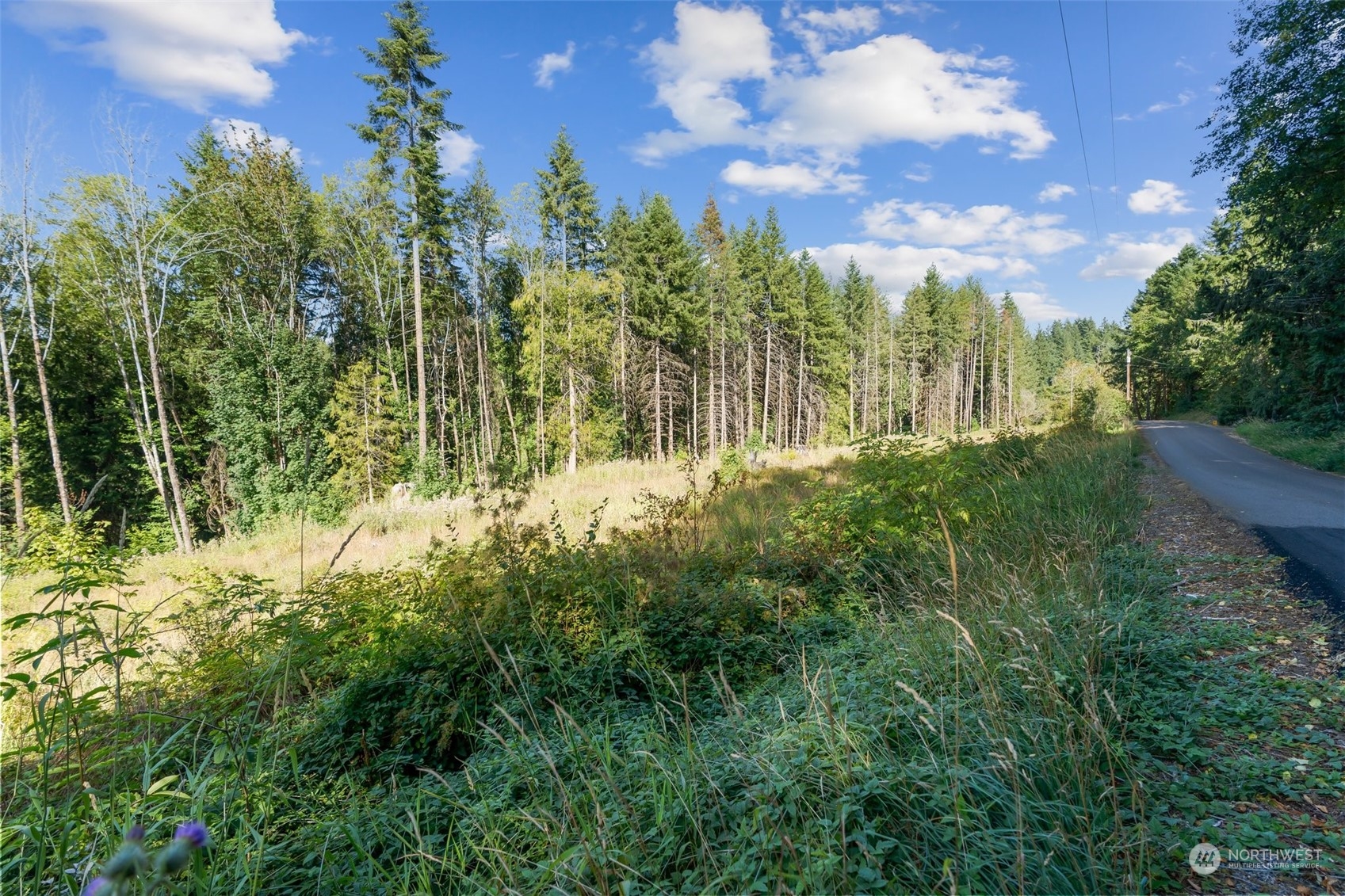 187 Ramsaur Road Centralia, WA 98531 - Photo 27 of 37 Gallery Image 27