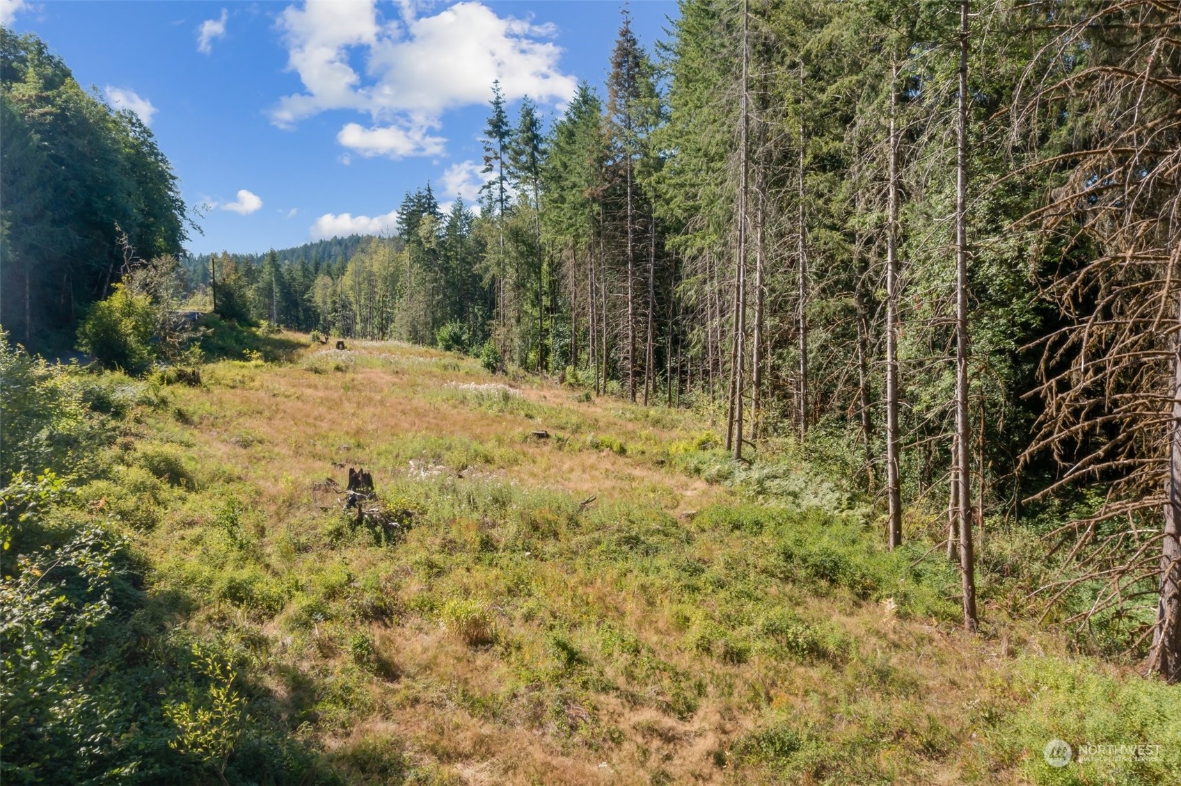 187 Ramsaur Road Centralia, WA 98531 - Photo 7 of 37 Gallery Image 7