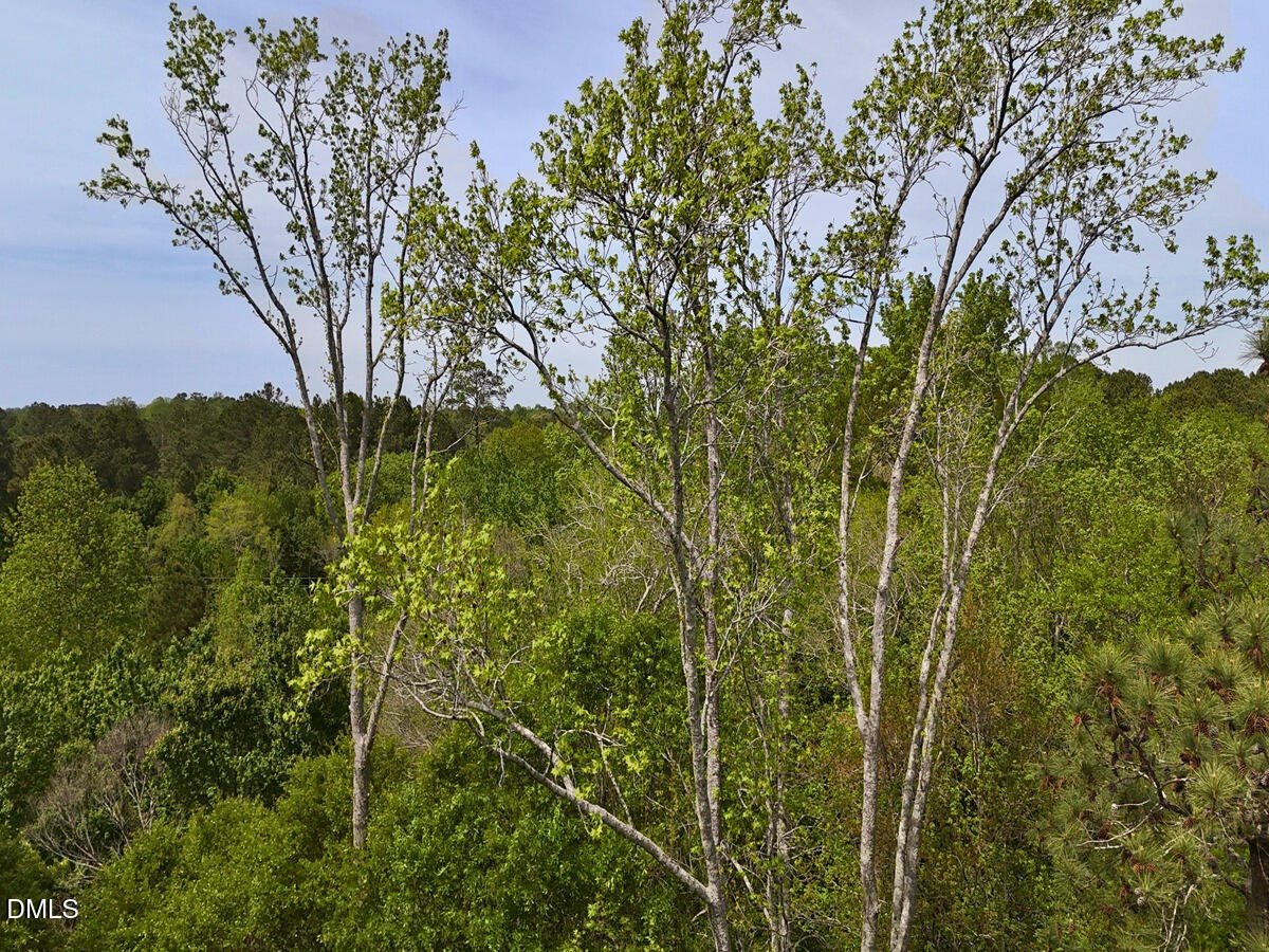 0 Mamie Road Wilson, NC 27893 - Photo 27 of 29 27.