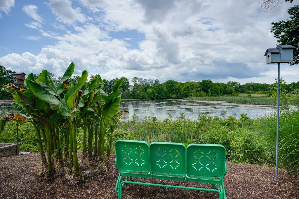 5 Faulkner Road Grafton, MA 01536 - Photo 31 of 42