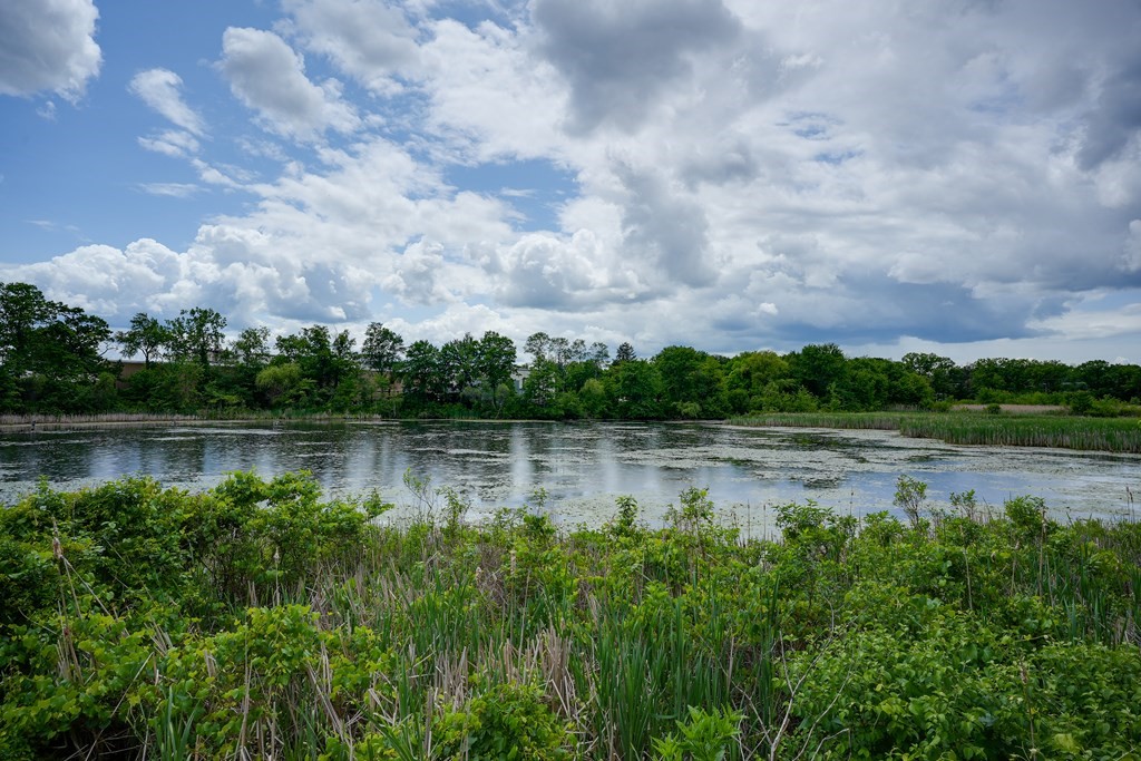 5 Faulkner Road Grafton, MA 01536 - Photo 32 of 42