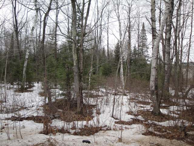 Lot 1 Crescent Road Rhinelander, WI 54501 - Photo 5 of 5 Gallery Image 5