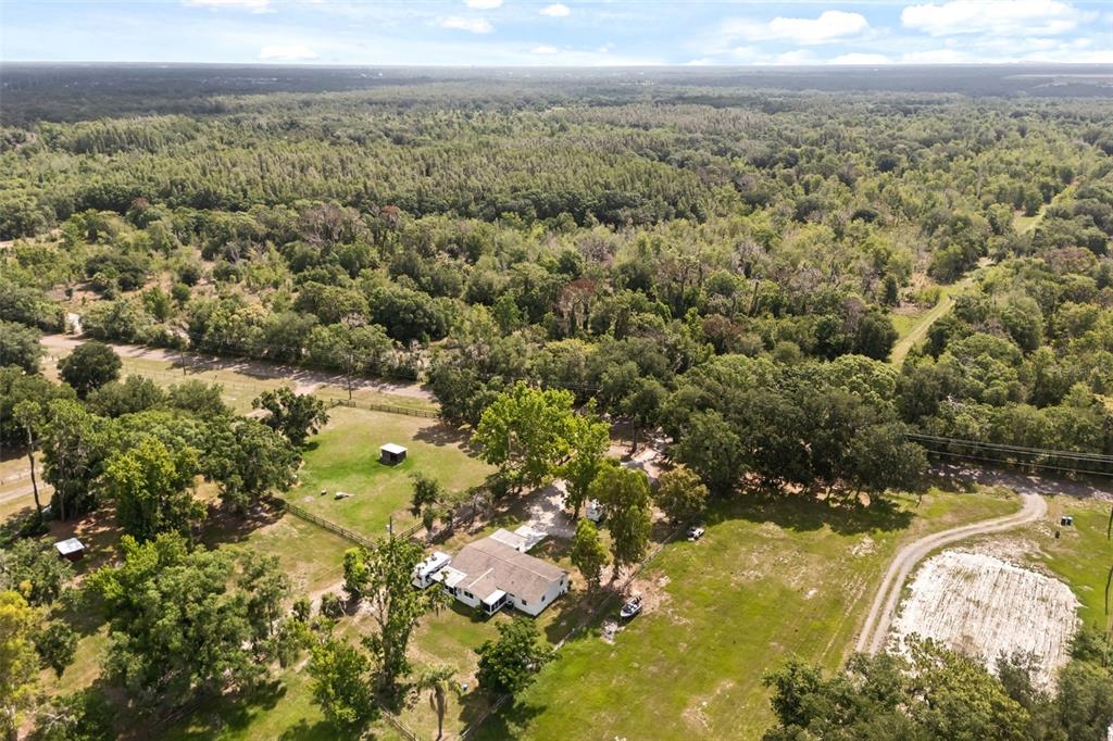 12631 Hobson Simmons Road Lithia, FL 33547 - Photo 16 of 18