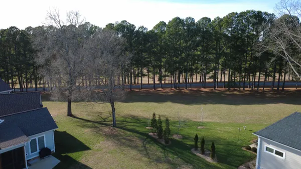 a view of a garden with a slide
