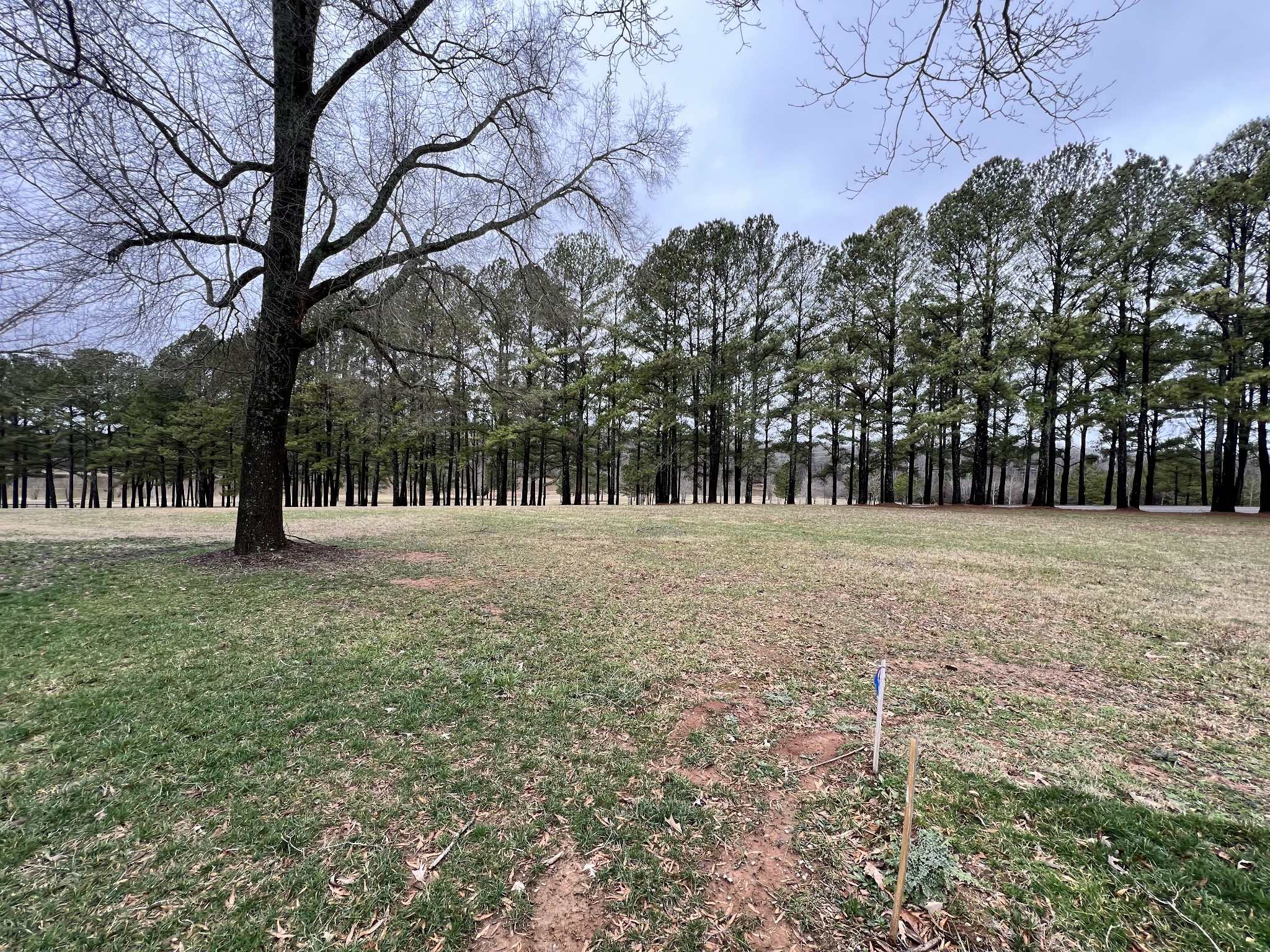 0 SLALOM Circle Winchester, TN 37398 - Photo 4 of 15