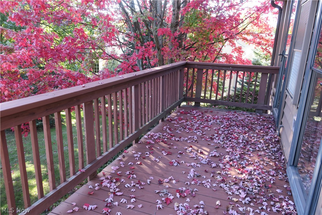 985 Canyon View Road, Unit 201A Northfield, OH 44067 - Photo 22 of 35 Balcony from Living Rm and Bedroom.