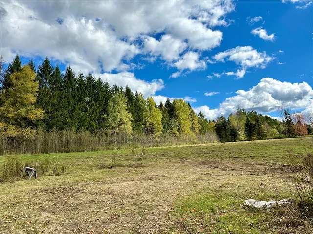 $72,000 | 0 Jackson Hill Road, Treadwell, NY 13846