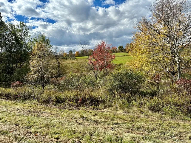 $72,000 | 0 Jackson Hill Road, Treadwell, NY 13846