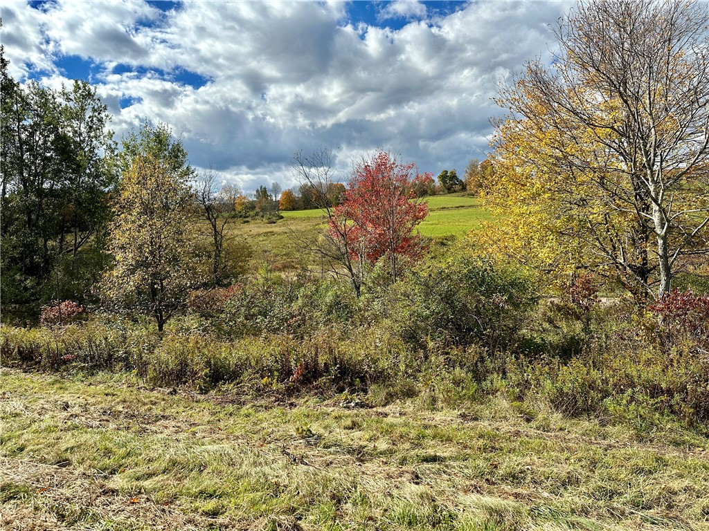 0 Jackson Hill Road Treadwell, NY 13846 - Photo 12 of 16