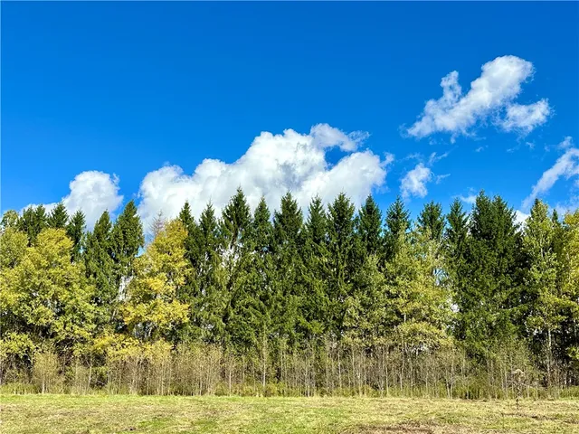 $72,000 | 0 Jackson Hill Road, Treadwell, NY 13846