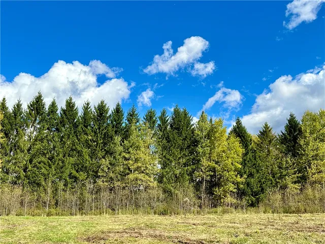 $72,000 | 0 Jackson Hill Road, Treadwell, NY 13846