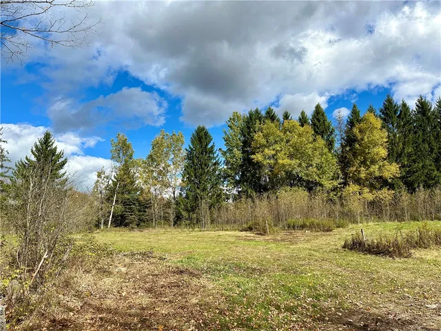 $72,000 | 0 Jackson Hill Road, Treadwell, NY 13846