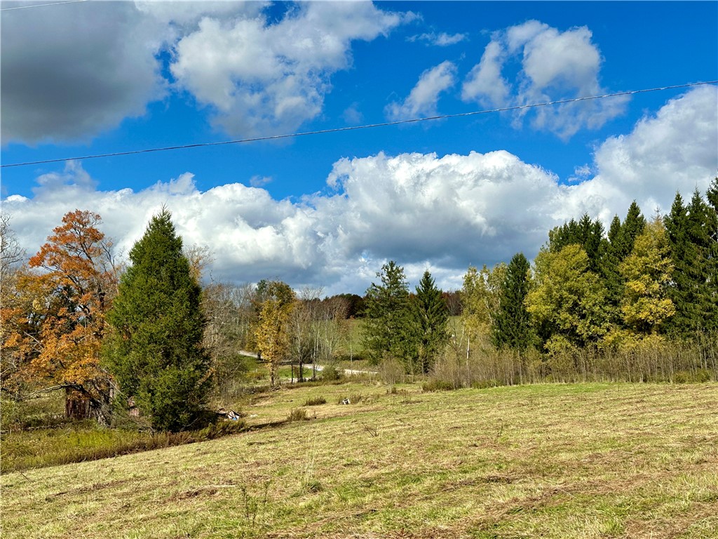 0 Jackson Hill Road Treadwell, NY 13846 - Photo 6 of 16