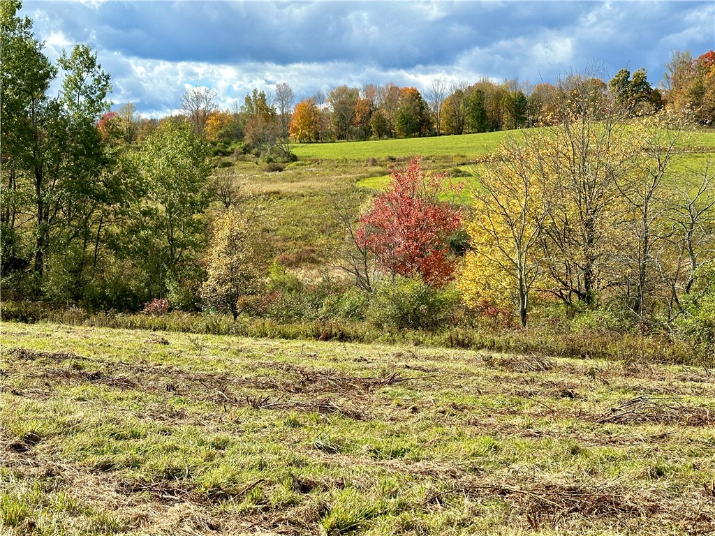0 Jackson Hill Road Treadwell, NY 13846 - Photo 8 of 16