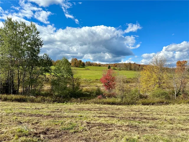 $72,000 | 0 Jackson Hill Road, Treadwell, NY 13846