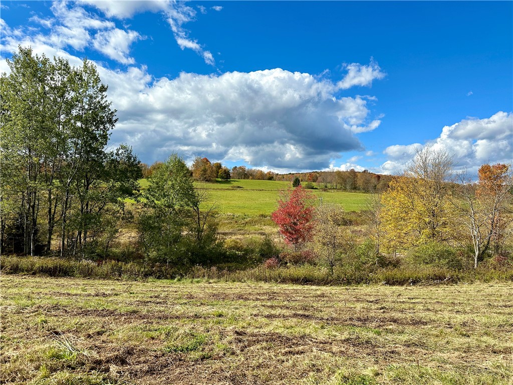 0 Jackson Hill Road Treadwell, NY 13846 - Photo 9 of 16