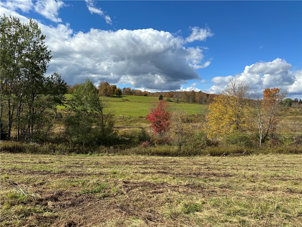 0 Jackson Hill Road Treadwell, NY 13846 - Photo 10 of 16