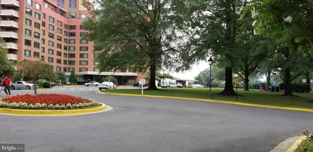 a view of a park with large trees