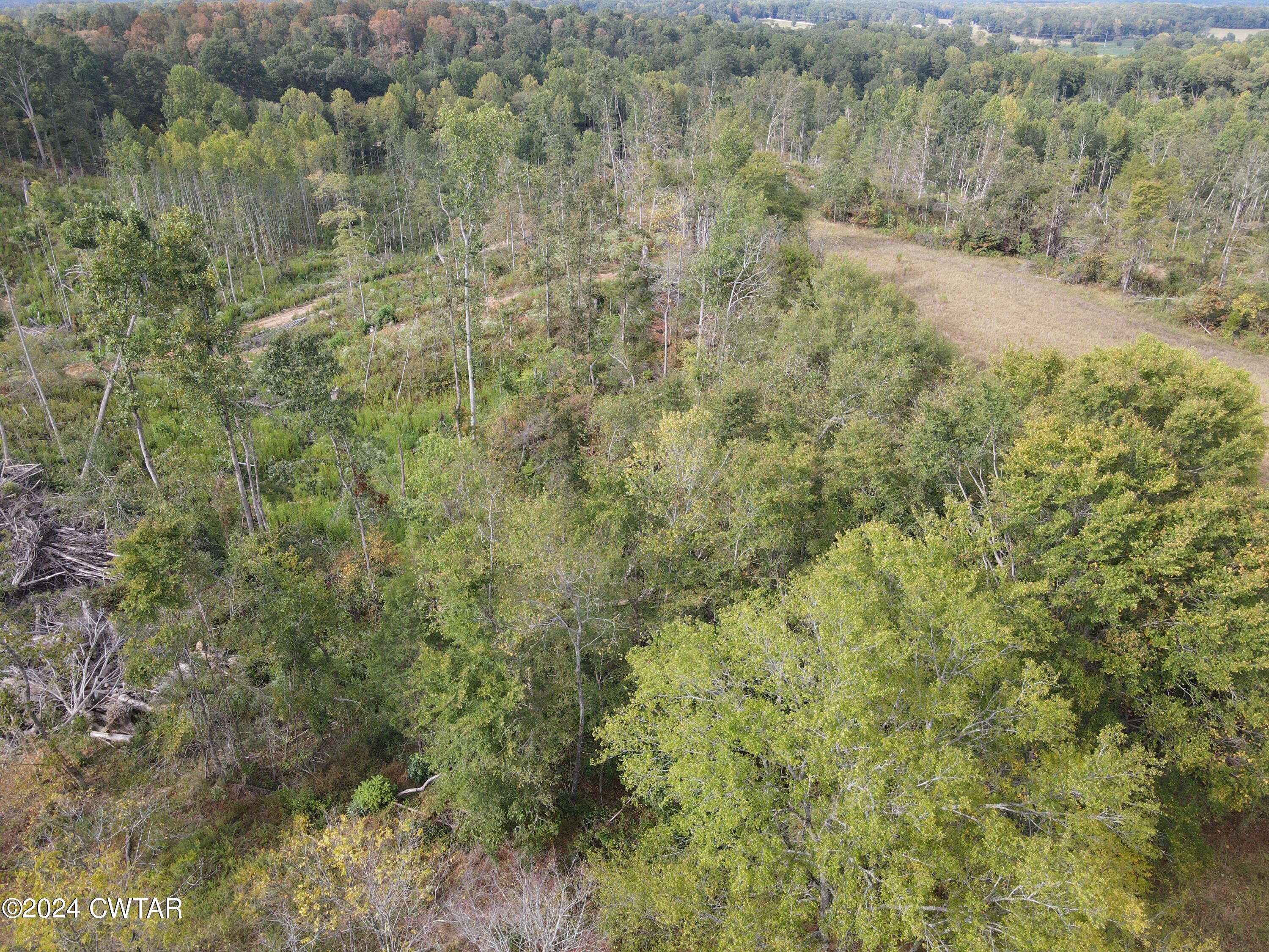 5 Hwy 100 & Old Stage Road Decaturville, TN 38329 - Photo 1 of 9 Main