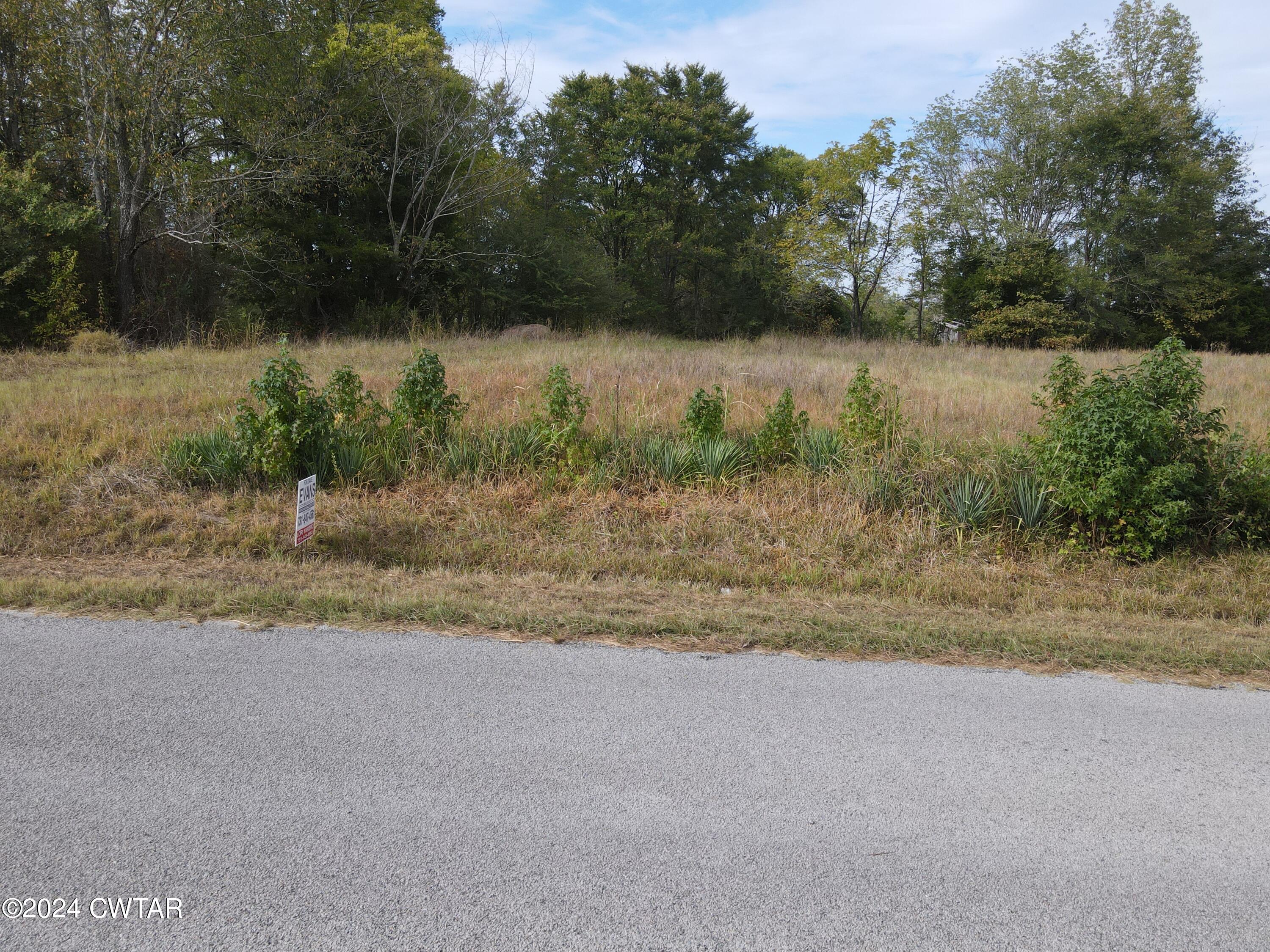5 Hwy 100 & Old Stage Road Decaturville, TN 38329 - Photo 4 of 9 dji_fly_20240831_164744_626_172513727663