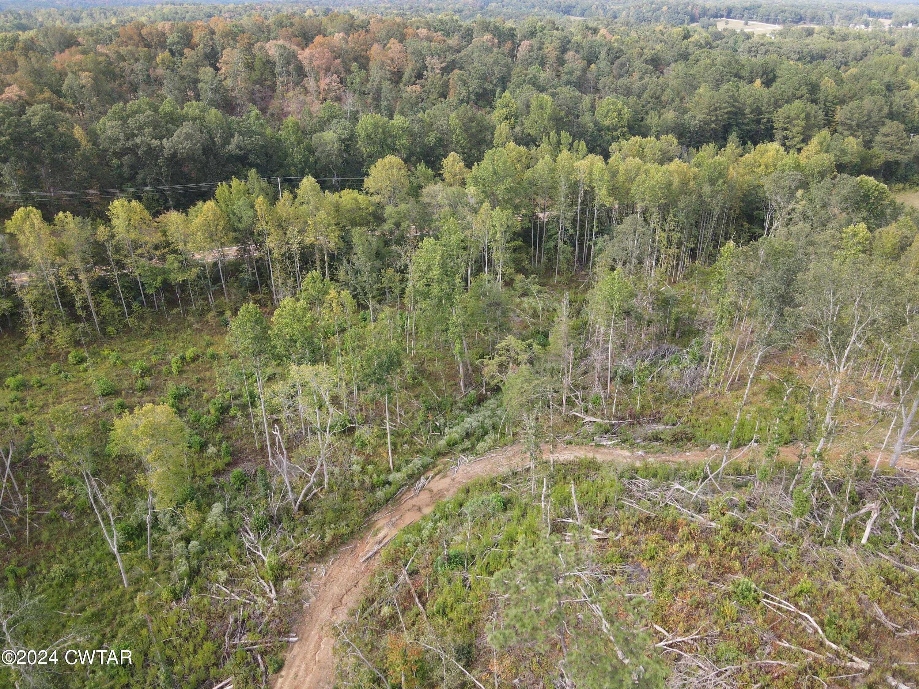5 Hwy 100 & Old Stage Road Decaturville, TN 38329 - Photo 9 of 9 dji_fly_20240831_164930_633_172513738955
