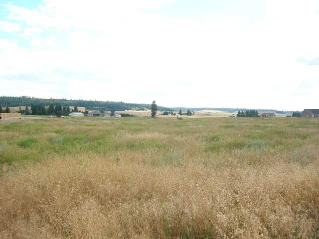 0 East Taylor Road Mead, WA 99021 - Photo 3 of 9