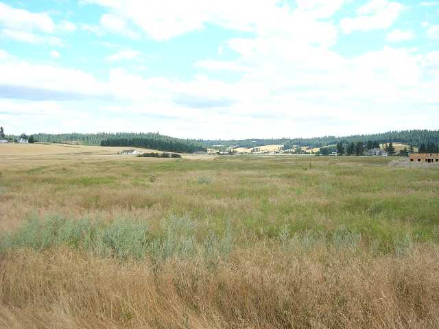 0 East Taylor Road Mead, WA 99021 - Photo 4 of 9