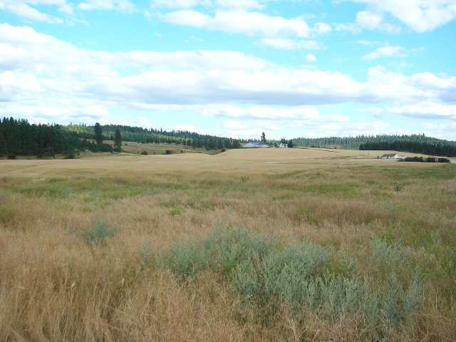 0 East Taylor Road Mead, WA 99021 - Photo 5 of 9