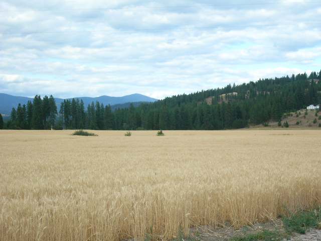 0 East Taylor Road Mead, WA 99021 - Photo 6 of 9