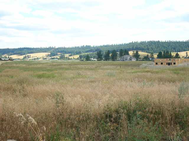 0 East Taylor Road Mead, WA 99021 - Photo 7 of 9