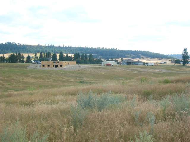 0 East Taylor Road Mead, WA 99021 - Photo 8 of 9