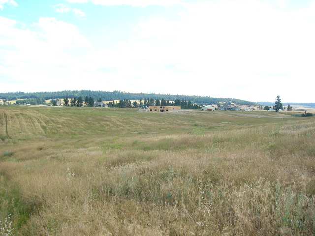 0 East Taylor Road Mead, WA 99021 - Photo 9 of 9