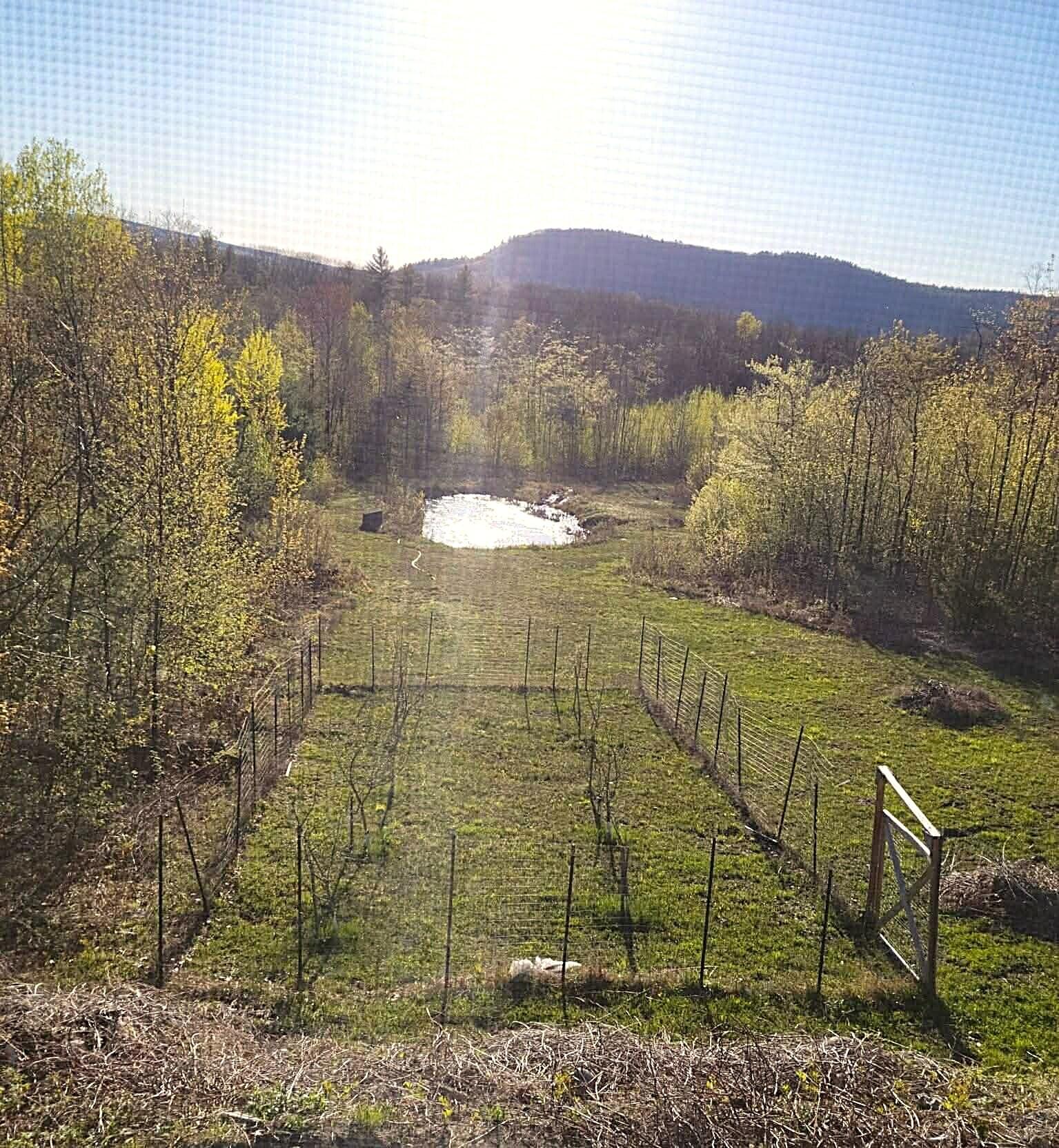 363 Butter Hill Road Livermore, ME 04253 - Photo 28 of 41 BH3