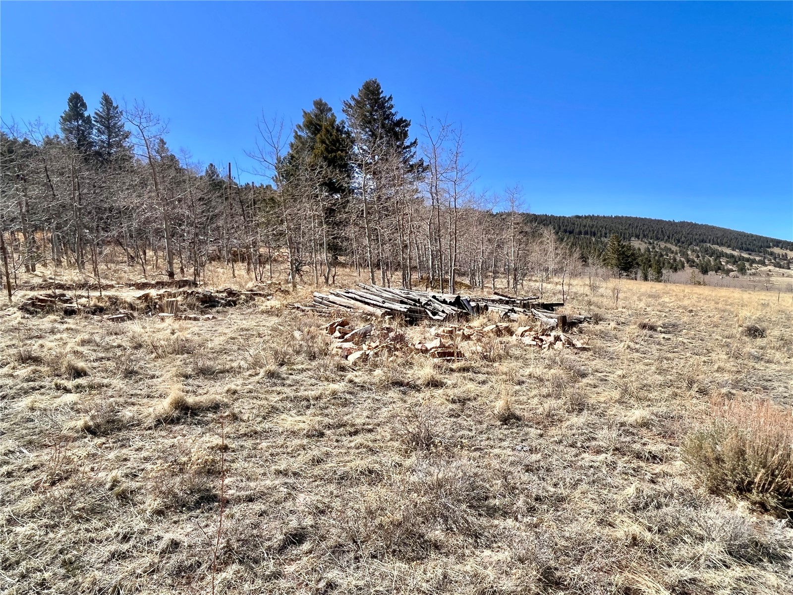 2952 Redhill Road Fairplay, CO 80440 - Photo 21 of 23 Gallery Image 21