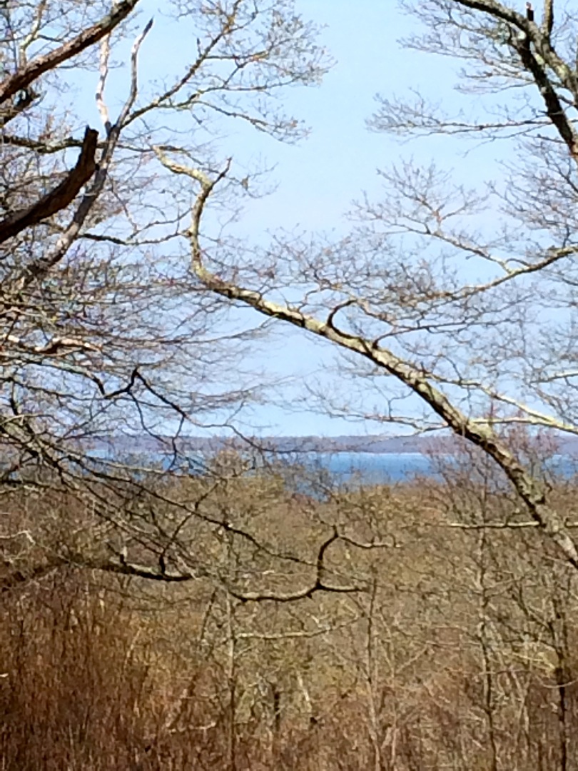 0 Chilmark Road Chilmark, MA 02535 - Photo 6 of 10 Distant water view "scoops".