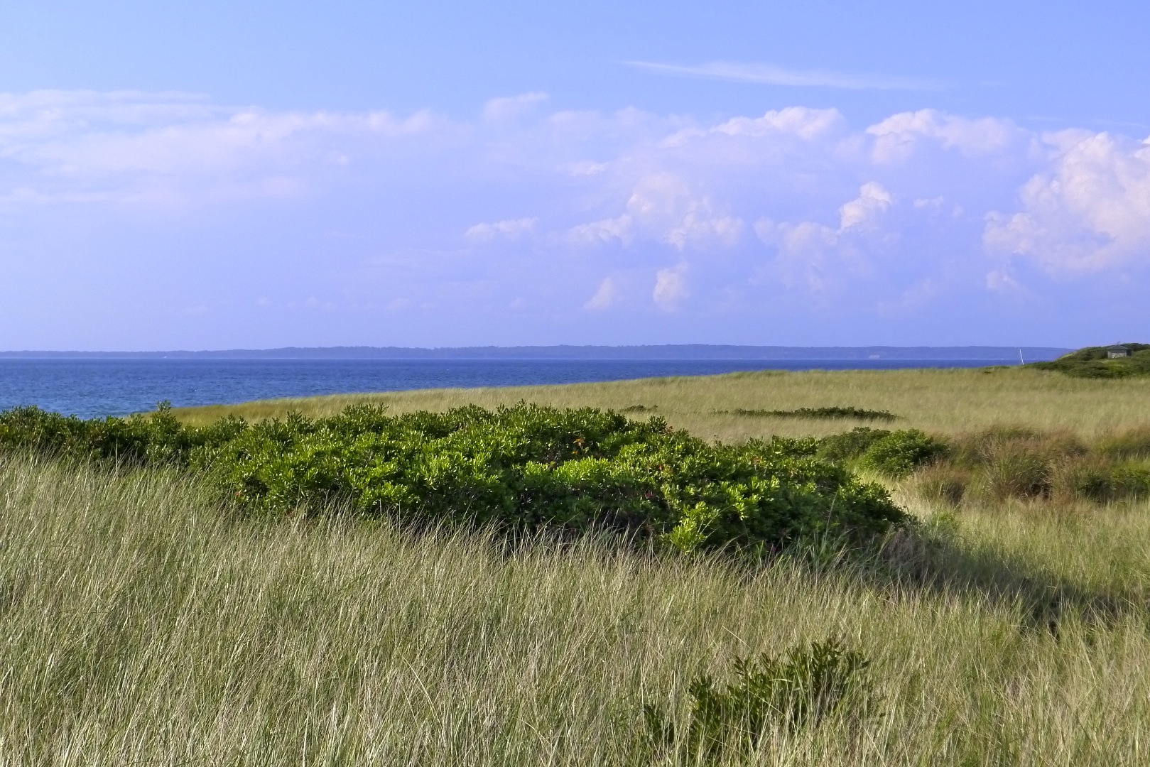 0 Chilmark Road Chilmark, MA 02535 - Photo 9 of 10 Gorgeous conservation land.