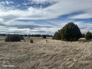 2221 East Rimstone Drive Show Low, AZ 85901 - Photo 2 of 2 20240402182639946220000000