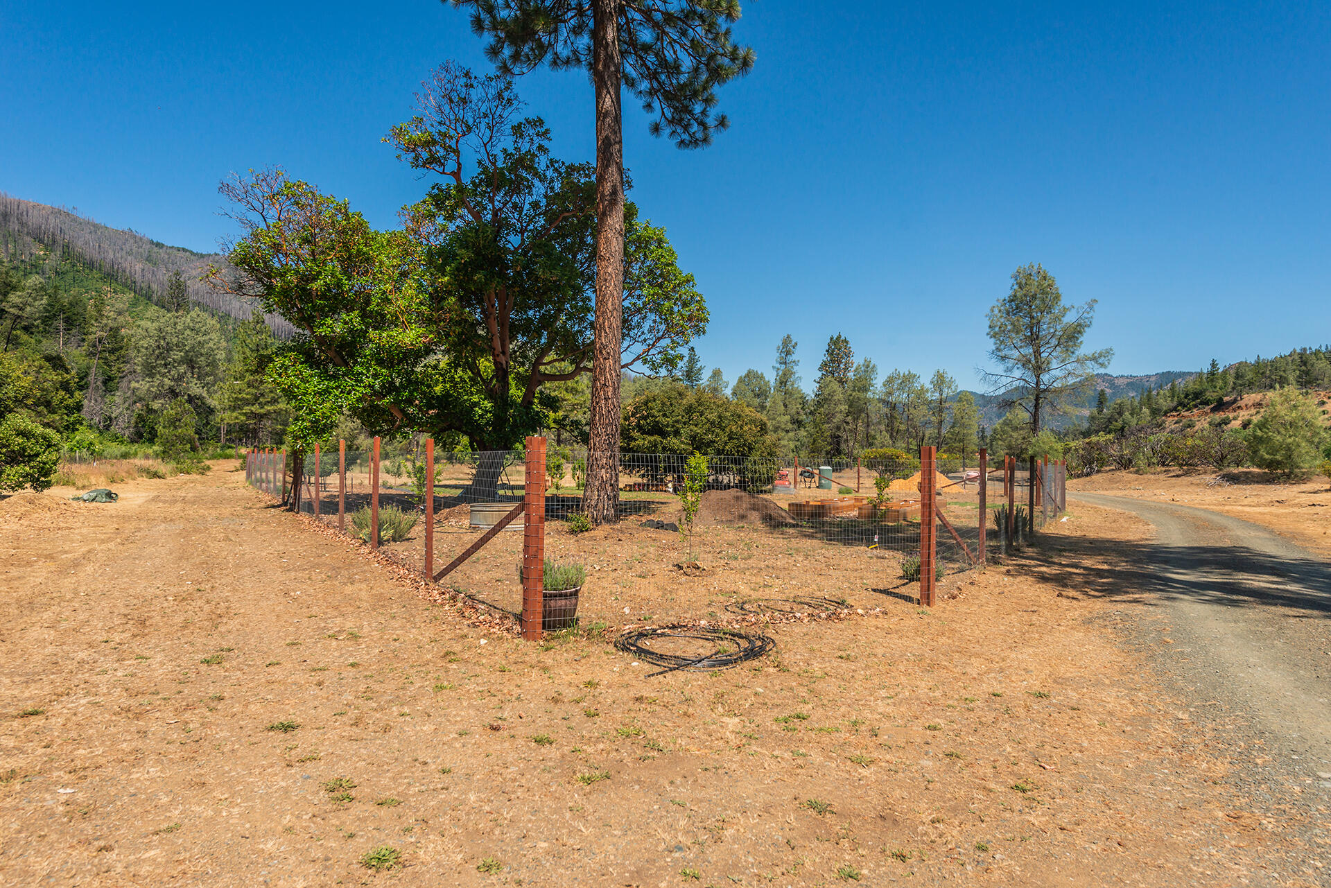 901 Dutch Creek Road Junction City, CA 96048 - Photo 23 of 70