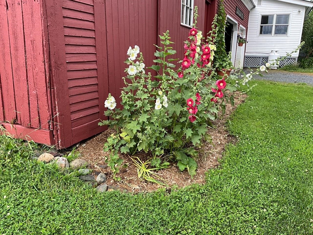 9521 County Road Calais, VT 05648 - Photo 54 of 55