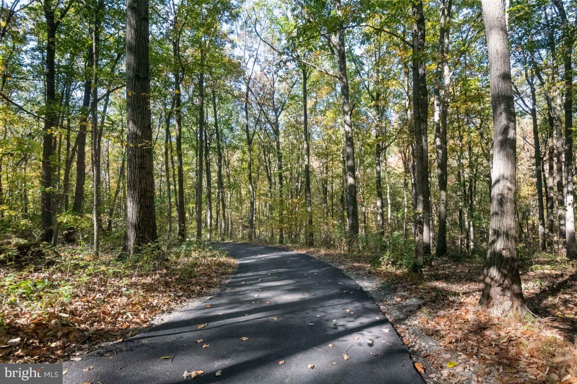 1744 Gablehammer Road Westminster, MD 21157 - Photo 73 of 79